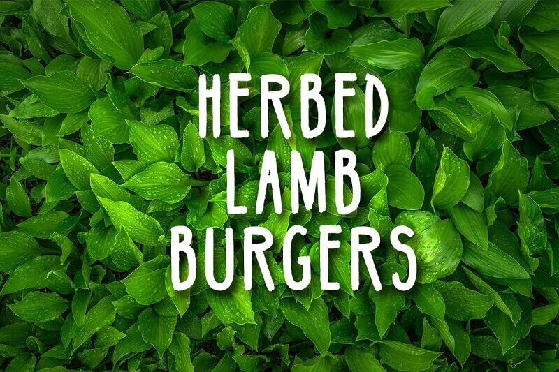 herbed lamb burgers