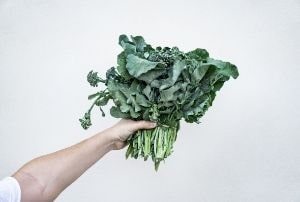 leafy greens antioxidant foods