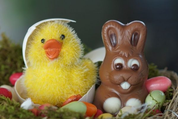 easter survival guide