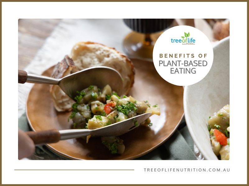 benefits of plant based eating dietitians perspective