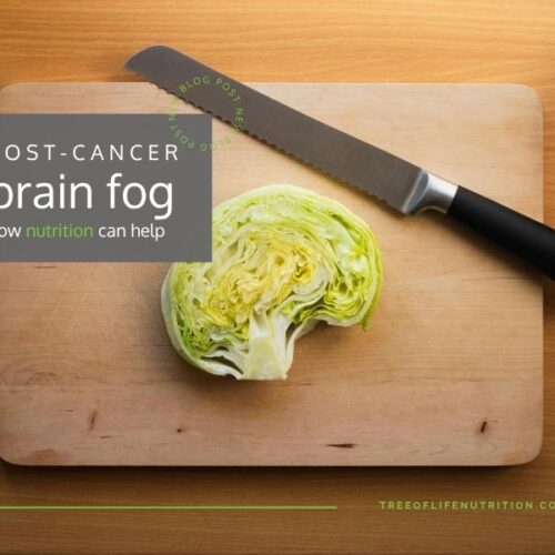 nutrition to support brain fog
