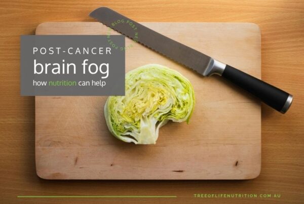 nutrition to support brain fog
