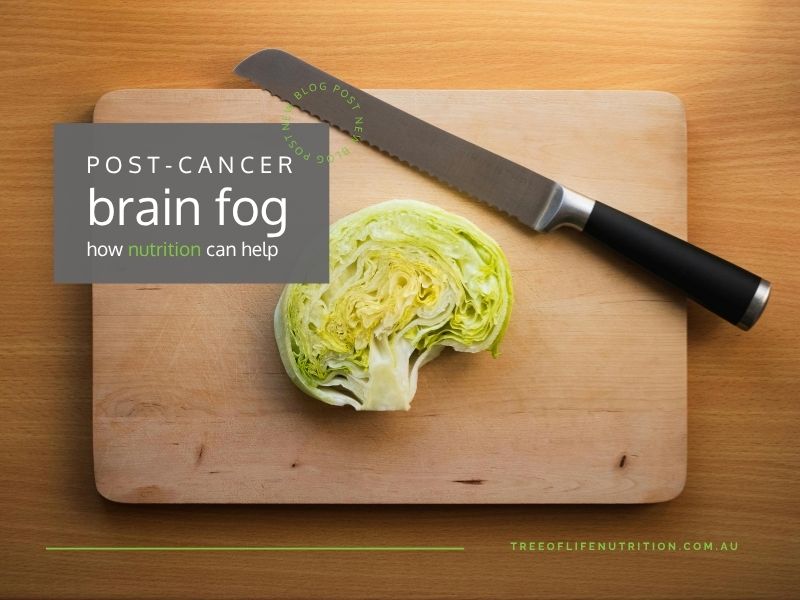 nutrition to support brain fog